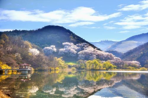 中國環(huán)保展 | 持續(xù)發(fā)力，全力以赴守護“蘇州藍”！